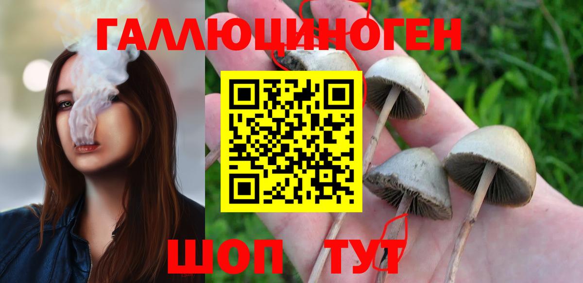 Орёл  Псилоцибиновые грибы мицелий  Вход с VPN 